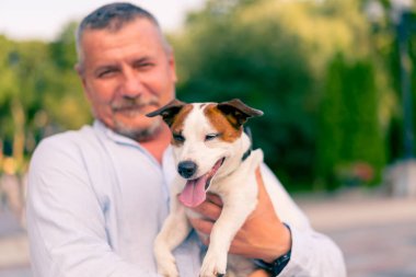 Yetişkin sakallı bir adamın portresi. Küçük köpeğini tutuyor. Jack Russell Terrier cinsi.