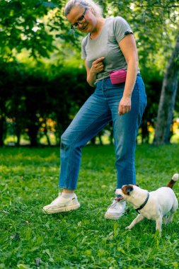 Russell Terrier gibi küçük etkin bir köpek parkta köpek bakıcısıyla çalışır ve hayvan yetiştirmek için ayaklarından yılanı geçirir.