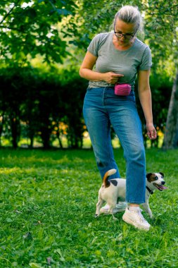 Russell Terrier gibi küçük etkin bir köpek parkta köpek bakıcısıyla çalışır ve hayvan yetiştirmek için ayaklarından yılanı geçirir.