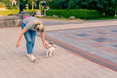 Bir kadın, Jack Russell 'ın köpeğiyle şehir parkında yürüyor. Aktif eğlence için hayvanlara sevgi besliyor.