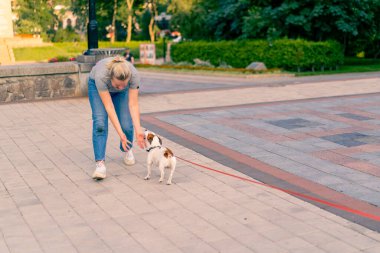 Bir kadın, Jack Russell 'ın köpeğiyle şehir parkında yürüyor. Aktif eğlence için hayvanlara sevgi besliyor.