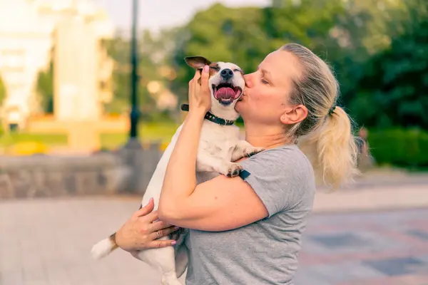 Portré Egy Gazdaság Kis Kutya Jack Russell Terrier Fajta Gondozás — Stock Fotó