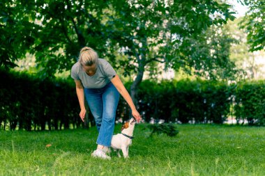 Russell Terrier gibi küçük etkin bir köpek parkta köpek bakıcısıyla çalışır ve hayvan yetiştirmek için ayaklarından yılanı geçirir.