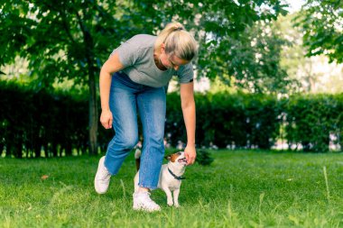 Hayvanat bahçesi psikoloğu parkta Jack Russell Terrier ile çalışıyor. Sosyalleşiyor. Köpekler ona övgüler yağdırıyor.