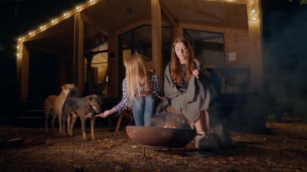 夜に火事で座っているガールフレンドと犬が手を温め 木製の家の近くで話す — ストック動画
