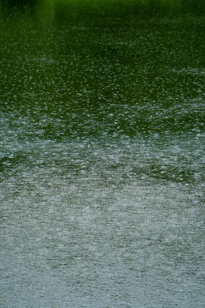 Landscape Nature River Downpour Drops Water Rain Close — Stock Photo, Image