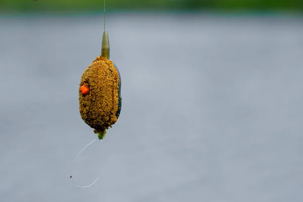 close-up fishing edible bait hanging on a hook on the background of river nature sport fishing feeder free style method