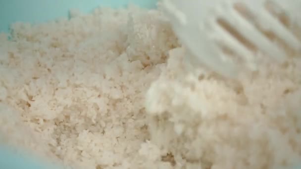 Bir Suşi Şefinin Suşi Kaşığıyla Pirinç Alırken Yılan Balığı Somon — Stok video