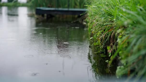 Paisaje Naturaleza Río Durante Aguacero Gotas Sobre Agua Lluvia Primer — Vídeos de Stock