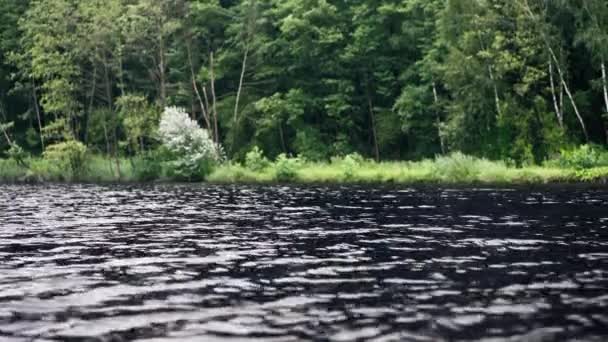 雨の近くから水に落ちる下り坂の間の風景自然川 — ストック動画