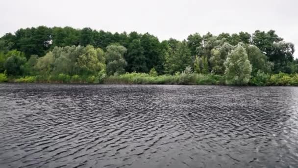 Τοπίο Φύση Ποτάμι Κατά Διάρκεια Νεροποντής Σταγόνες Στο Νερό Από — Αρχείο Βίντεο