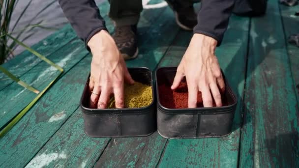 鳥の川で釣る前に容器に異なる色の餌の魚を浸した漁師のクローズアップ — ストック動画