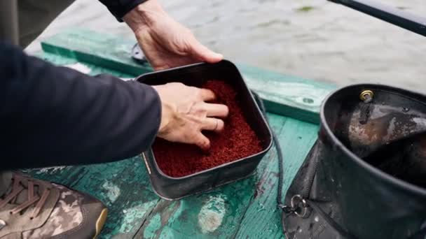 Primer Plano Pescador Empapando Peces Cebo Alimentación Diferentes Colores Contenedores — Vídeo de stock
