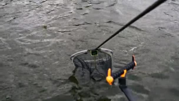 Chiudere Pescatore Con Canna Pesca Strumenti Professionali Filatura Tirare Pesce — Video Stock