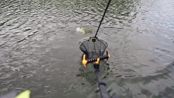 도구와 스포츠 낚시를 호수에서 물고기를 당기는 — 비디오