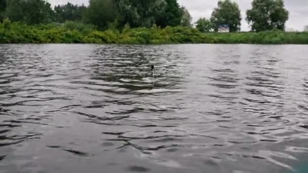 Balıkçıyı Oltayla Dönen Aletlerle Yaklaş Nehir Kıyısında Dikiz Aynasından Balık — Stok video