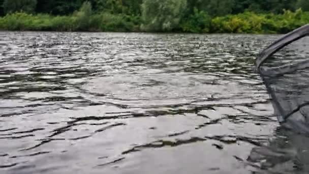 釣り棒または網のスポーツ釣りを使用して湖から魚を引っ張る川の岸に立っている回転専門用具が付いている漁師 — ストック動画