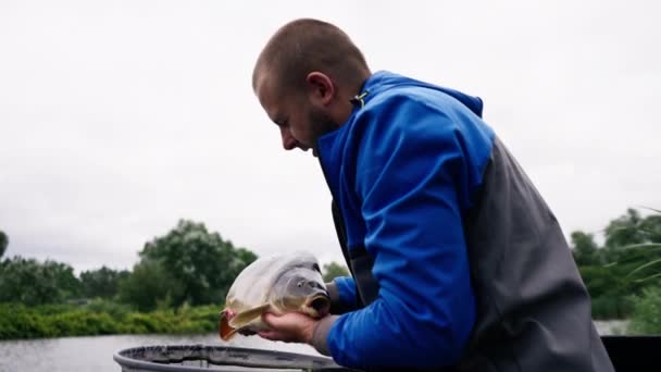 Berufsfischer Der Einen Karpfenfisch Ufer Der Flussfischerei Stauseen Hält Ein — Stockvideo