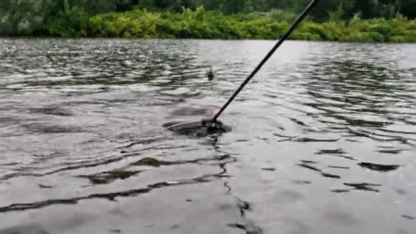 Pêcheur Avec Canne Pêche Filature Outils Professionnels Debout Sur Bord — Video