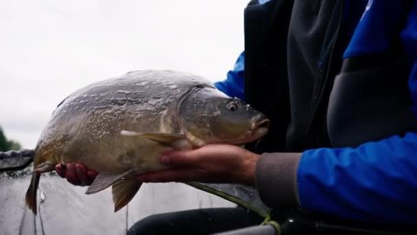Nehir Kıyısında Balık Tutan Profesyonel Bir Balıkçı Deposunda Balık Tutmak — Stok video