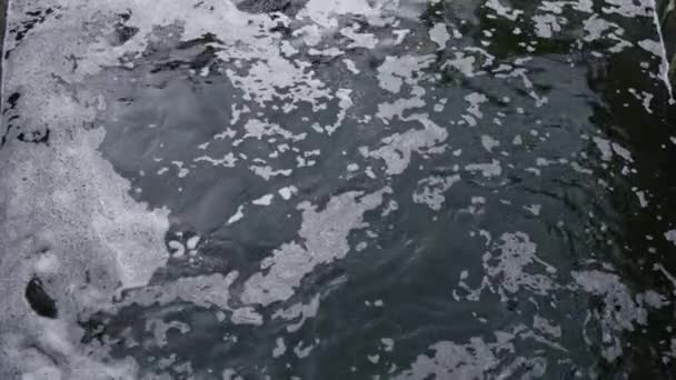 Lac Rivière Sale Avec Écologie Des Poissons Morts Pollution Nature — Video