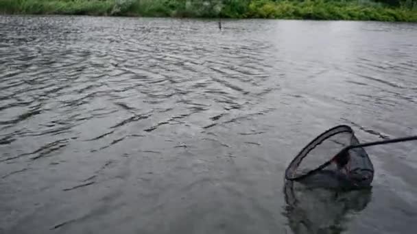Balıkçı Elinde Olta Profesyonel Aletlerle Nehrin Kıyısında Durmuş Balık Tutarak — Stok video
