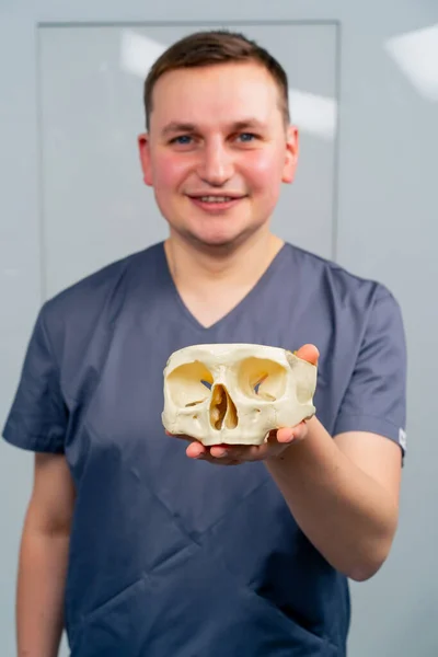 Portrait Professional Accredited Smiling Ent Doctor Holding Mock Skull Clinic Stock Image