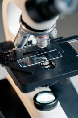 Bir veteriner kliniğinde yakın plan incelenmeye hazır yeni bir mikroskop.