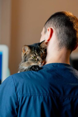 Veteriner kliniği. Veteriner arkası bize dönük duruyor ve kollarında kediyle güneşleniyor.