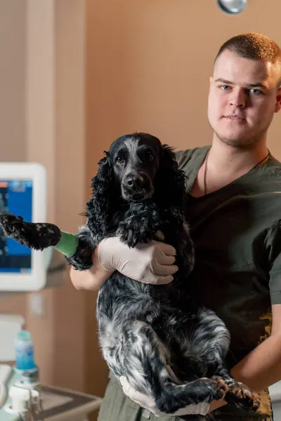 Veterinary Clinic Spotted Spaniel Held Doctor His Arms Child — Stock Photo, Image