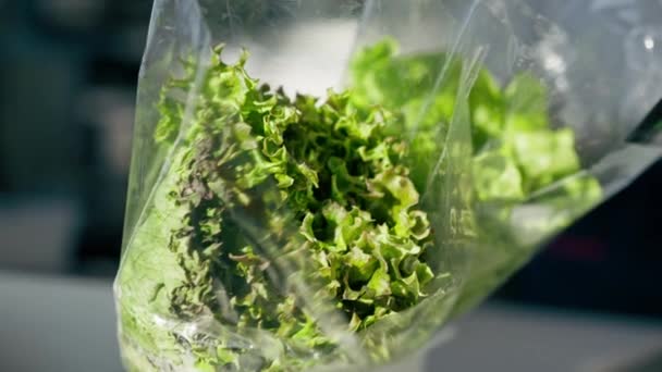 Nahaufnahme Von Salatblättern Transparenter Verpackung Einer Professionellen Küche — Stockvideo