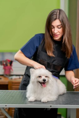 Bir kuaför kuaföründe saç tıraşından önce yıkanmış beyaz bir tükürük tarağı.