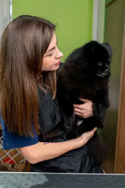 In a grooming salon young girl groomer stands with a black Spitz in her arms hugging