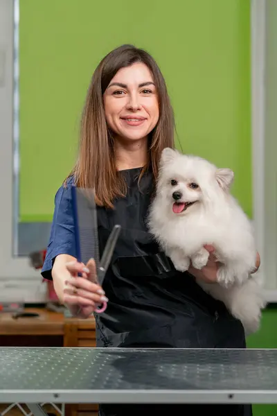 in a grooming salon young girl groomer stands with a wight spitz in her arms and professional scissors comb posing