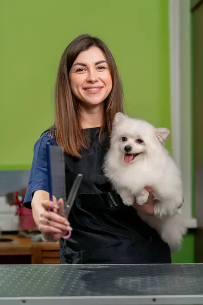 in a grooming salon young girl groomer stands with a wight spitz in her arms and professional scissors comb posing