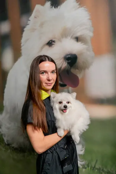 In a grooming salon young girl groomer in a blue uniform stands with a white Spitz in her arms hugging