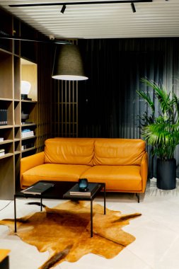 Tasarımda oturma odası minimalizmi olan tasarım dairesinin sade atmosferi