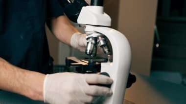 Bir veteriner kliniğine yakın plan bir doktor kabalığı mikroskopla düzeltir.