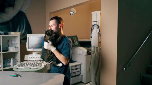 兽医诊所里 兽医站在那里 抱着一只猫晒太阳 — 图库视频影像