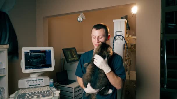 Dans Une Clinique Vétérinaire Vétérinaire Tient Debout Prélasse Avec Chat — Video