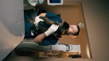 Bir veteriner kliniğinde dikey video. Bir veteriner kollarında kediyle ayakta durup güneşleniyor.