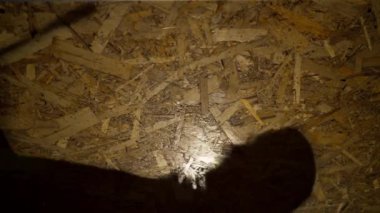 Dikey bir servis istasyonu, ingiliz anahtarlı bir zanaatkârın yamuk bir duvar siluetine gölge düşürüyor.