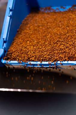 Kahve fabrikasına yakın plan kahve mavi bir konteynırdan kızartma makinesine dökülüyor.