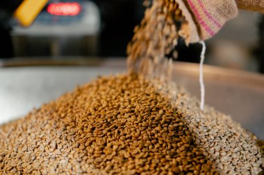 Bir kahve kızartıcı fabrikada yakın plan kahve poşetinden teraziye dökülüyor.