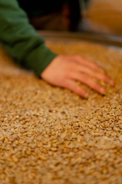 Kahve kızartma fabrikasında çalışan işçilerden biri bir poşeti dikey konuma getirip kesiyor.