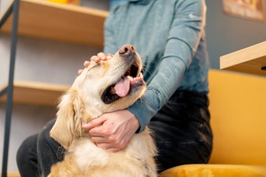 Avcı köpeği oturur ve sahibine sarılır. Ellerini uzatır ve okşar.
