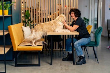 Bir av köpeği sahibine sarılır. Masadaki sarı kanepede bir hayvanla aile fotoğrafında.