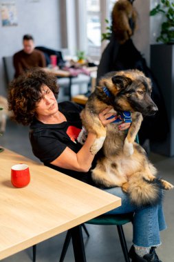 Köpek zaten sahibinin kollarında. Lezzetli bir şey umarak yanında olmaktan mutlu.