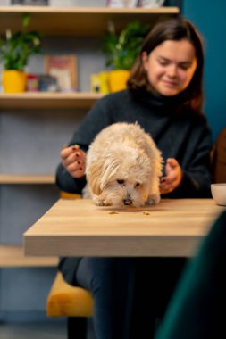 Sahibinin kollarında, onunla olmaktan ve köpek kafesine ilk kez lezzetli bir yolculuk yapmaktan mutlu.