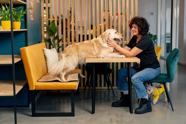 Bir av köpeği sahibine sarılır. Masadaki sarı kanepede, aile fotoğrafında hayvanla birlikte.